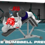 DECLINE DUMBBELL PRESS