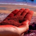 dfo48tlo gelak 625x300 13 March 26