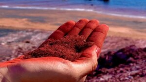 dfo48tlo gelak 625x300 13 March 26